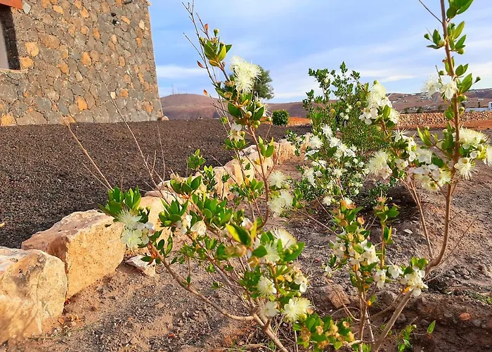 El Bounty1 * プエルト・デル・ロサリオ