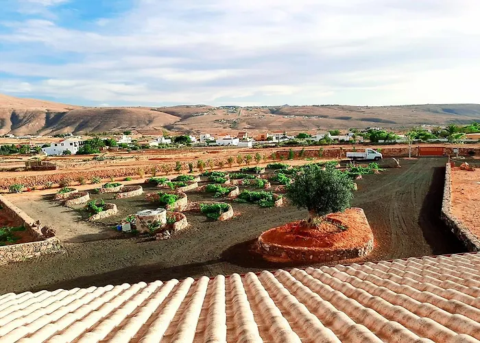 El Bounty1 * プエルト・デル・ロサリオ