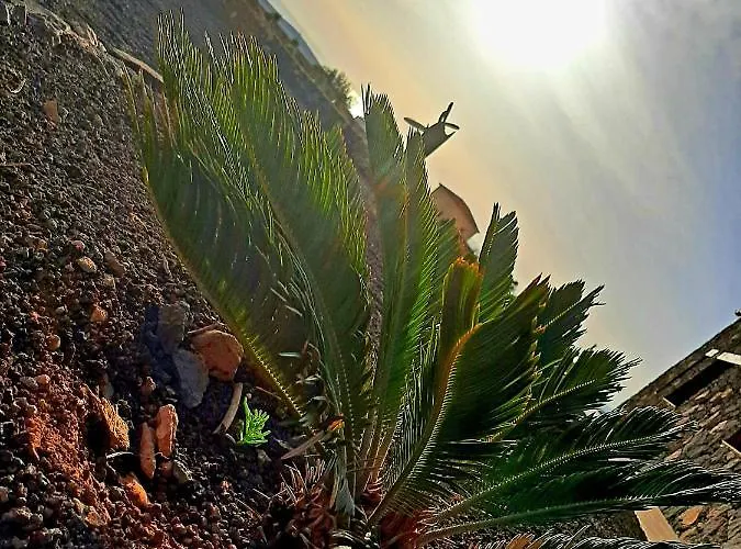 アパート El Bounty1