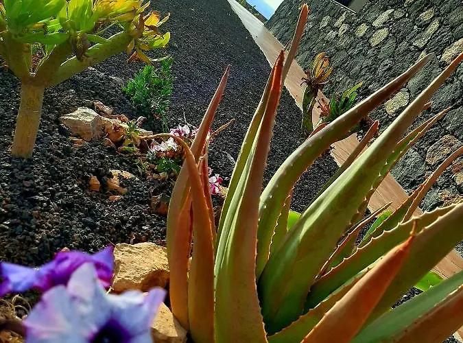 アパート El Bounty1