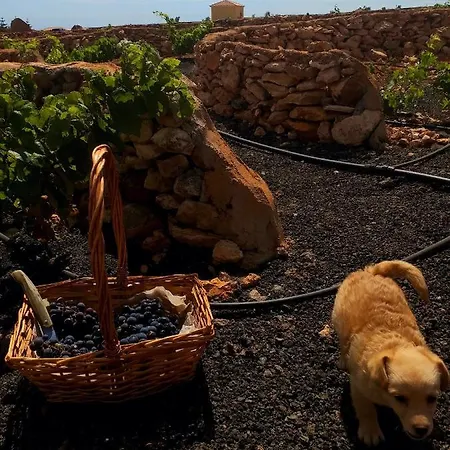 El Bounty1 Apartmán Puerto del Rosario (Fuerteventura)