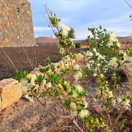 El Bounty1 * Puerto del Rosario (Fuerteventura)