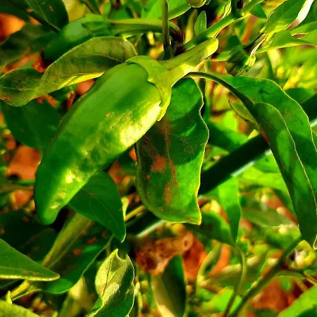 El Bounty1 Appartamento