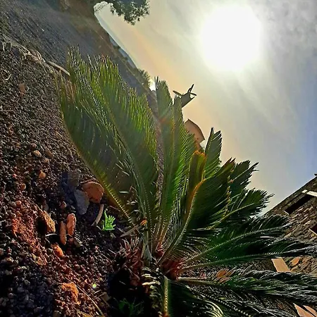 Apartamento El Bounty1