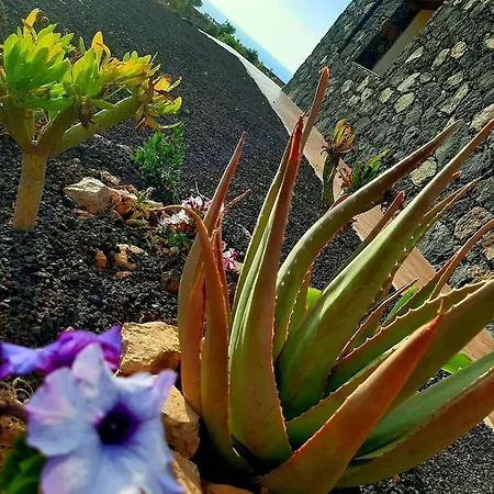 Apartamento El Bounty1