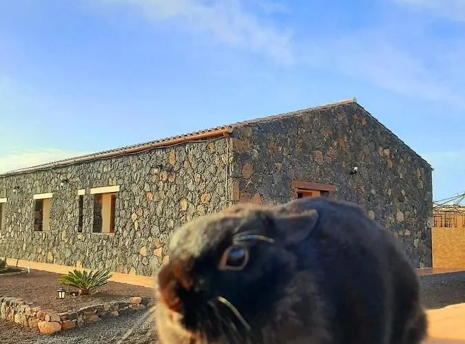 El Bounty1 Apartment