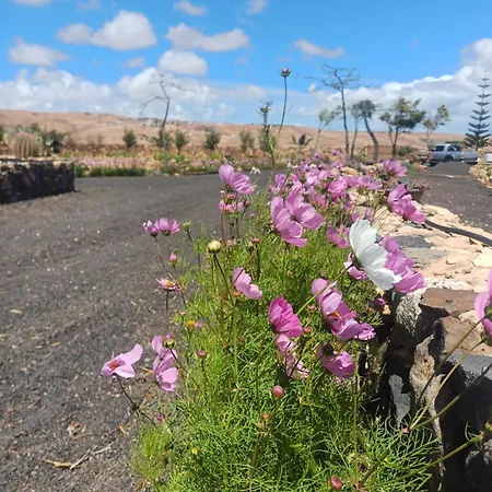 Appartement El Bounty1 Puerto del Rosario (Fuerteventura)